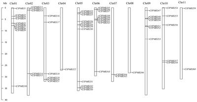 Genome-wide identification and characterization of pectin methylesterase inhibitor gene family members related to abiotic stresses in watermelon